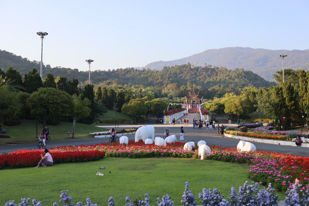 FILE-20260104-1750GZWVM1KL3M2C