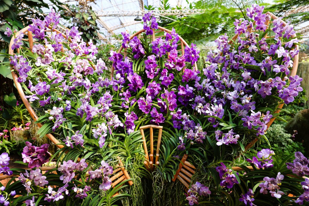 FILE-20260104-1751GLWWXVCVJY7K