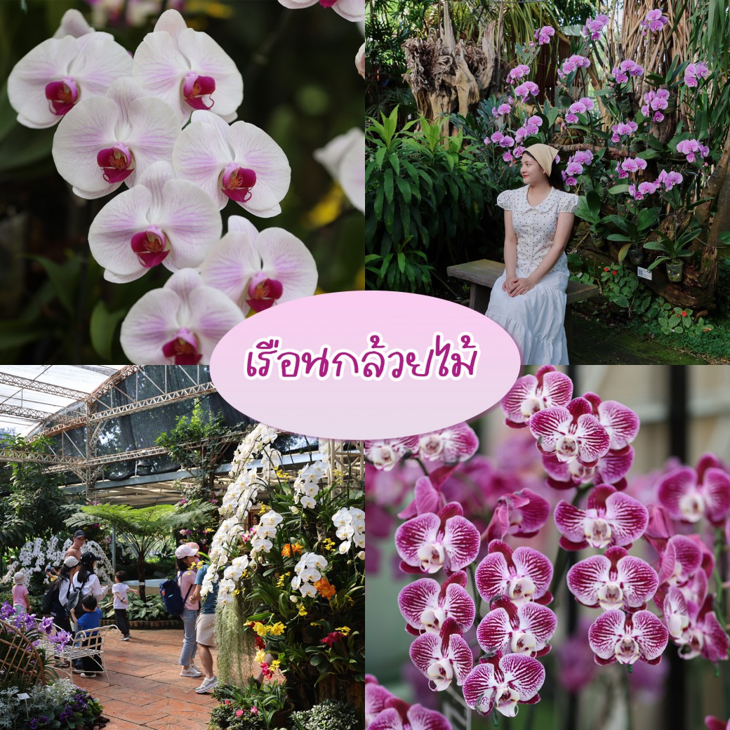 FILE-20260104-1754CTR2Y8W2FA5Q