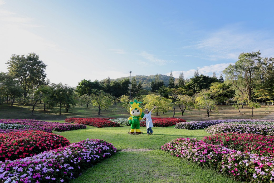 FILE-20260104-1754RRJZ4ZTBNK4P