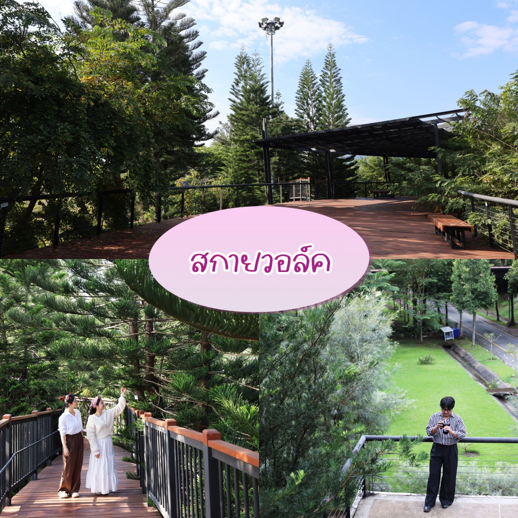 FILE-20260104-1755EZA1GCL7RUWN