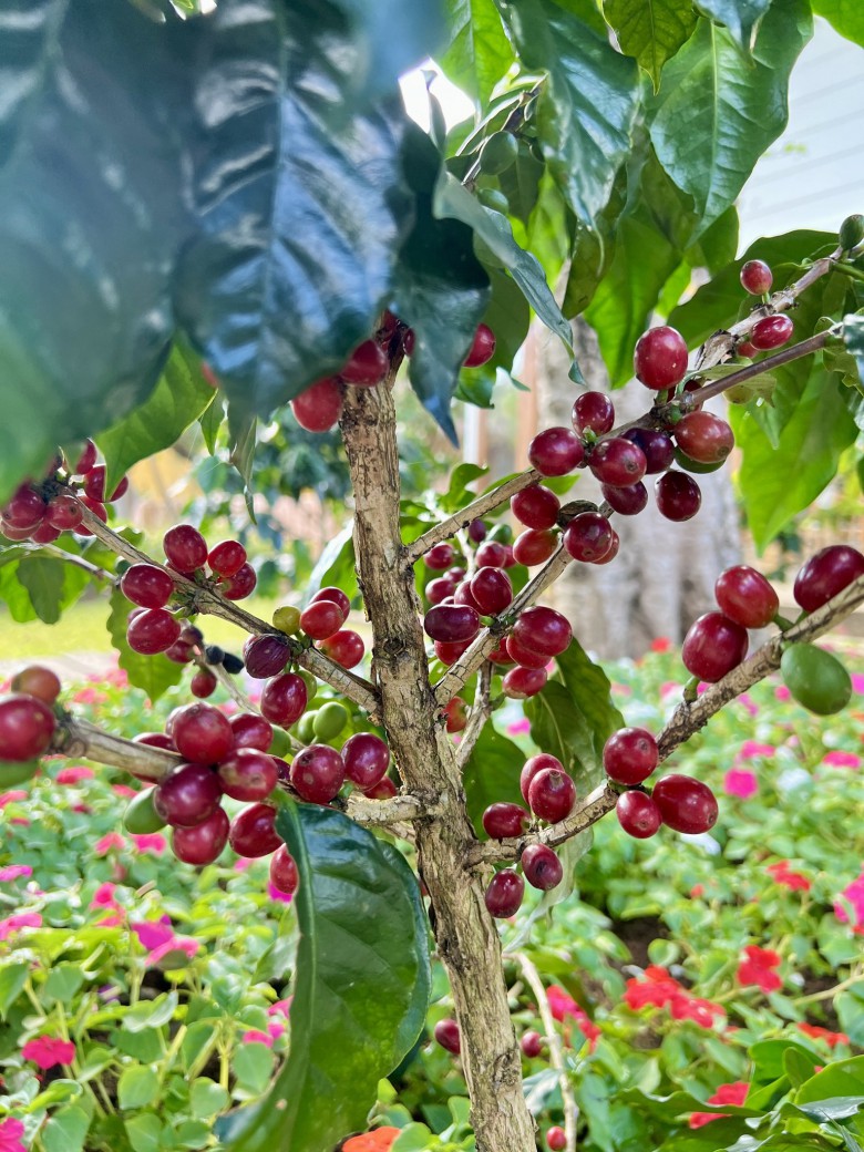 FILE-20260109-14264E54QN4ZUTUR