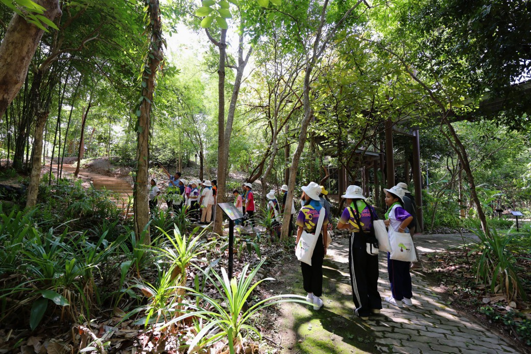 FILE-20260128-102477PE2HDH5TGB