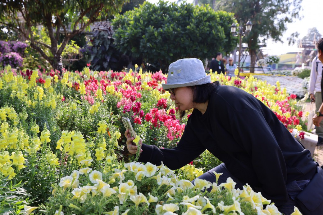 FILE-20260215-14027D4JC86Z6LDD