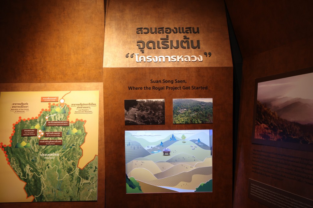 FILE-20260215-1403VGNCBDKDYQSZ