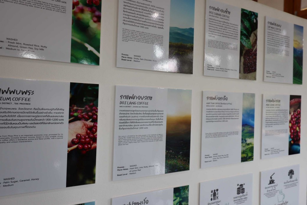 FILE-20260215-1406K13S6VGYMXUE