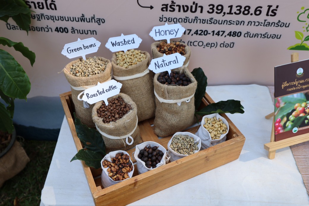 FILE-20260215-1409F76SNLYC3YVB