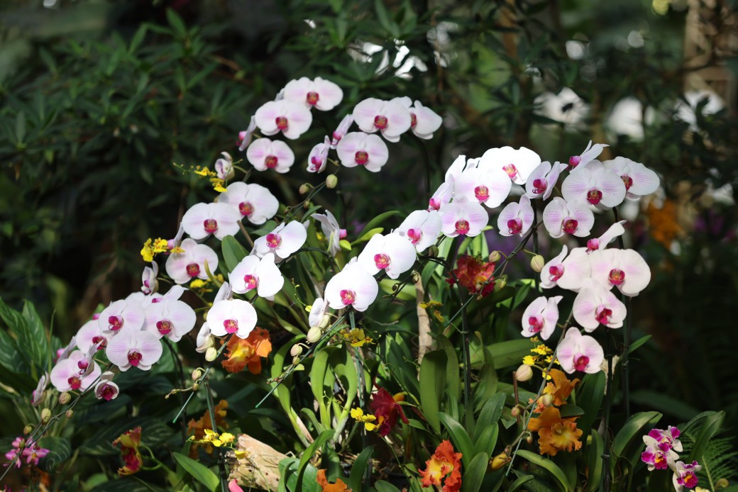 FILE-20260215-1411GX5X4JM8KKFE