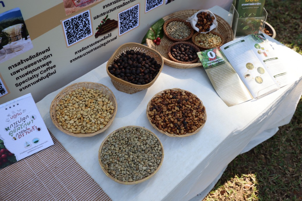 FILE-20260215-1418RYH5GM4A1HJ9