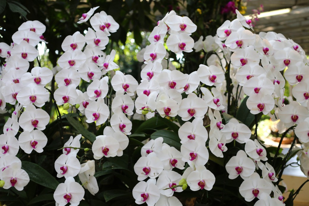 FILE-20260215-1422L59F466V7J6H