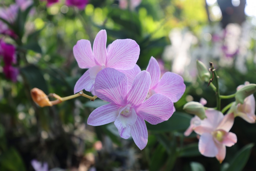 FILE-20260215-1425E17CFVSJBB8T