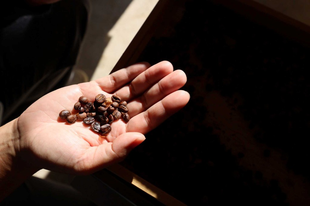 FILE-20260215-14262FGTWC3XMEVJ