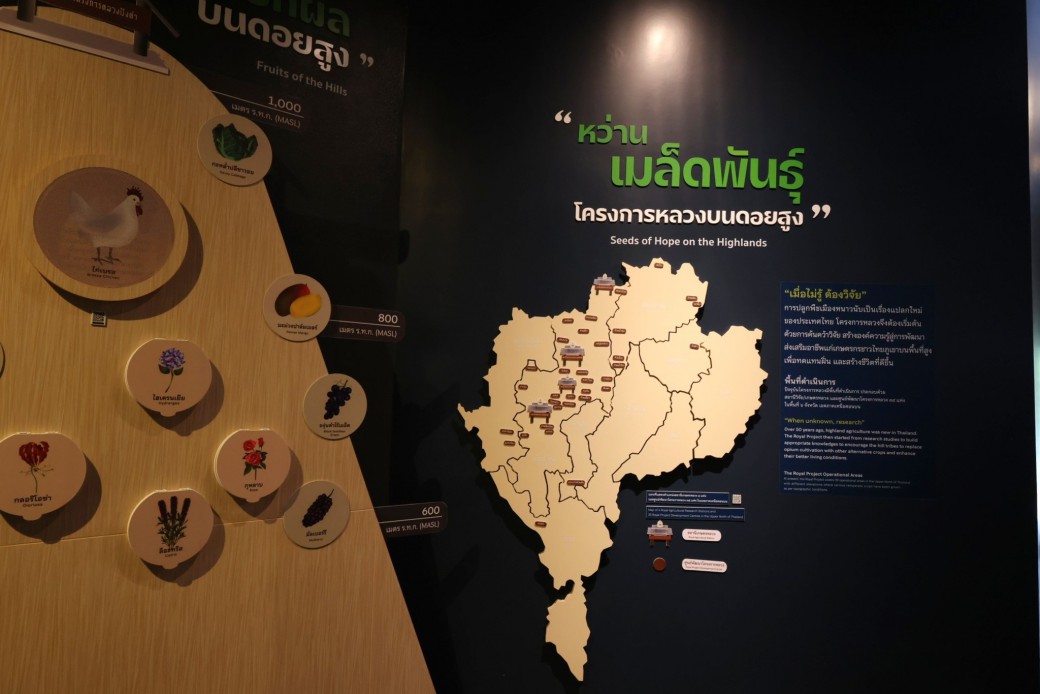 FILE-20260215-14262PA56EZ29QBQ