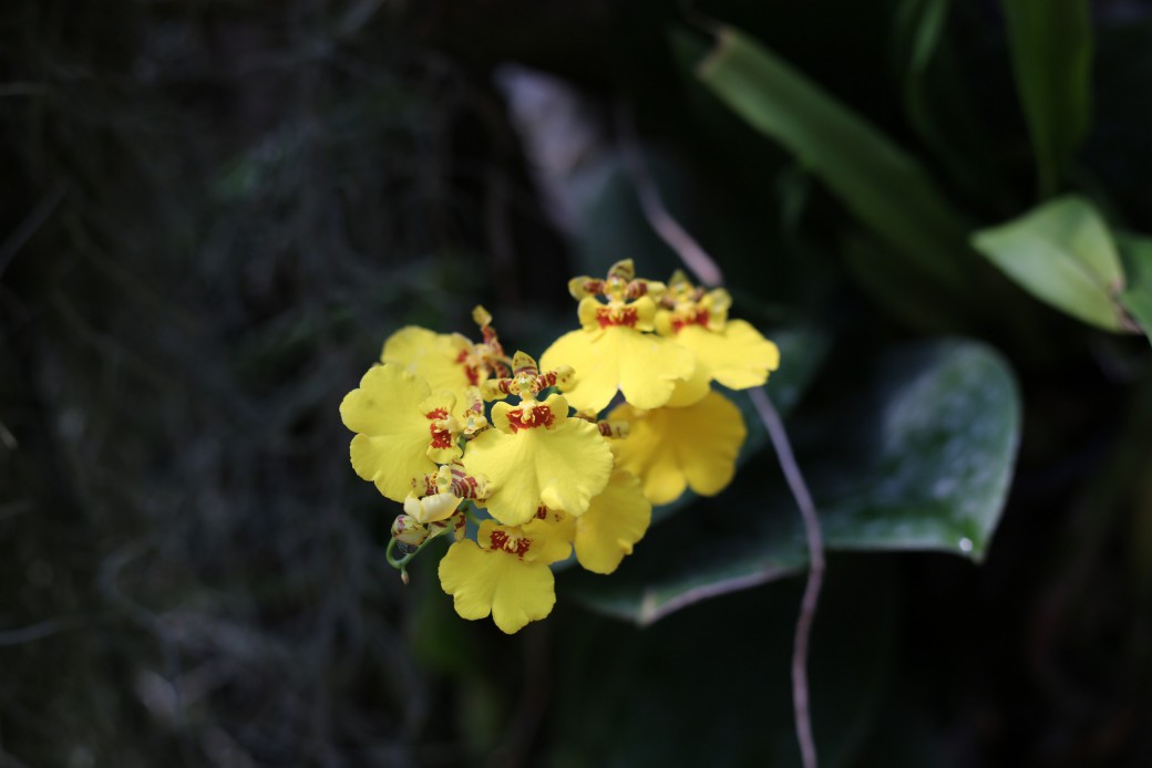 FILE-20260215-1430EVGFVH3ATGBY