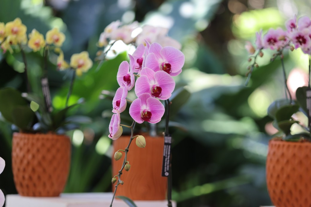 FILE-20260215-14347XRJAJL3C732