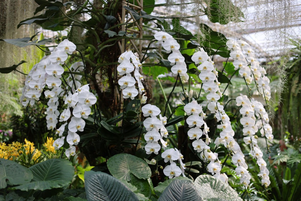 FILE-20260215-1440RQWBEB8ESCGY