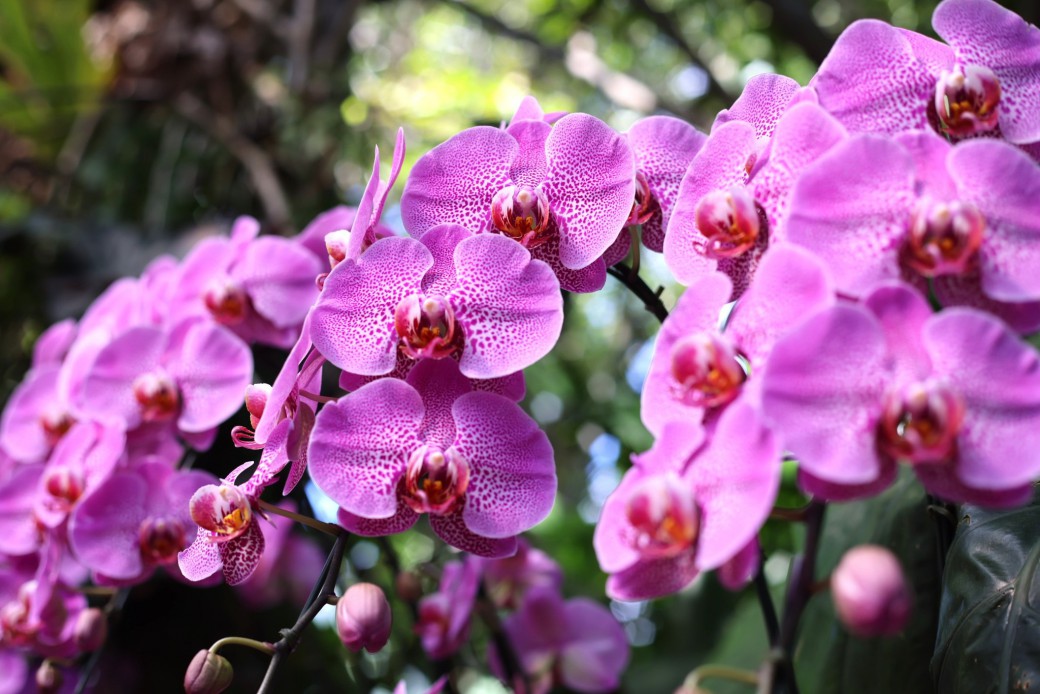 FILE-20260215-1442D48VE1Y7XMNA