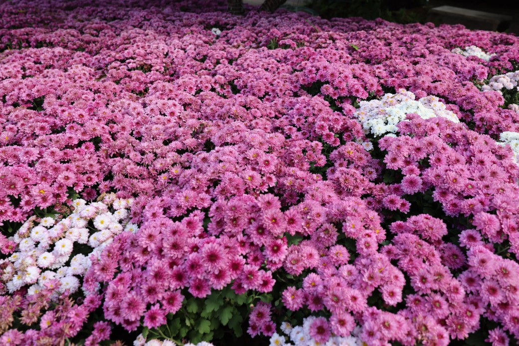 FILE-20260215-1442F212WQCG72XA