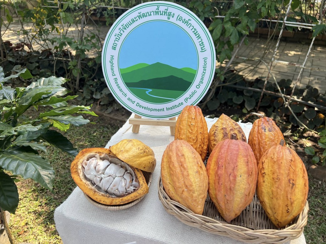 FILE-20260215-14461QNWWSNSQ153