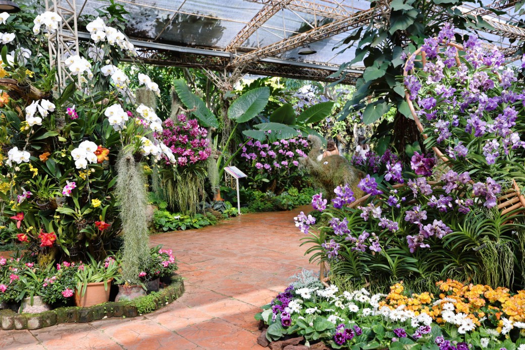 FILE-20260215-145227BVZ1U2MNMF