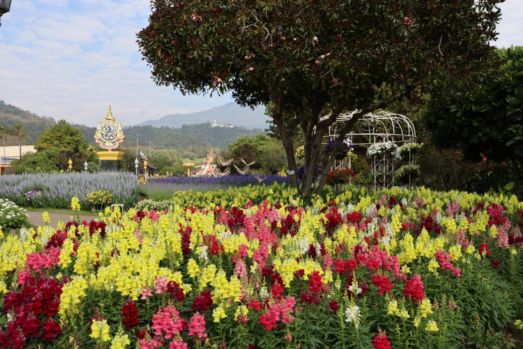 FILE-20260215-14597TXWZBYXACXP