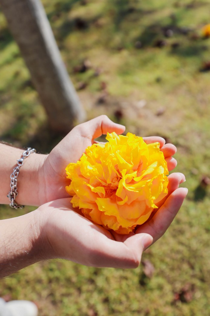 FILE-20260215-1503QGF6YAEX4EFD