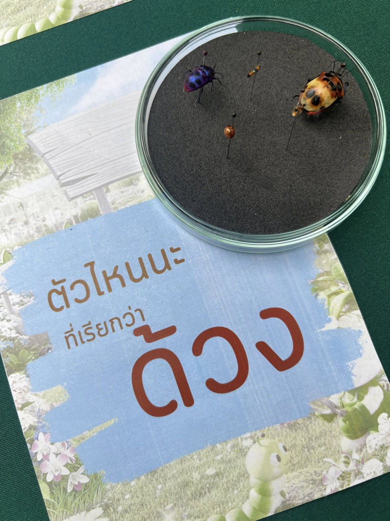 FILE-20260215-1507XQ5E2EBG2RAZ