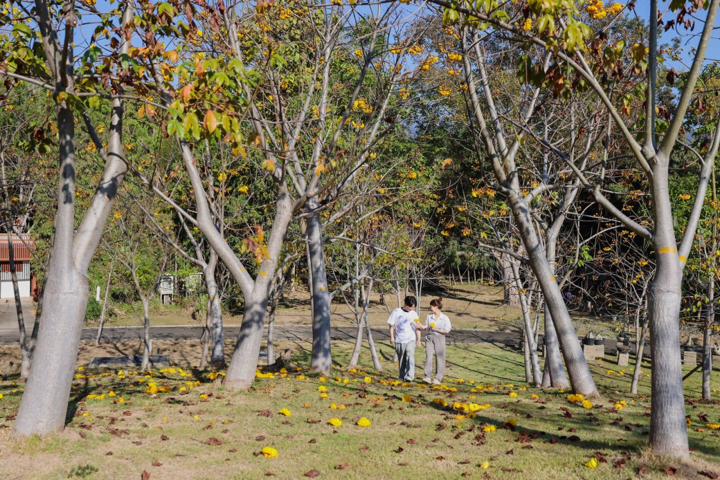 FILE-20260215-1507Z9HJ74E1VGEZ