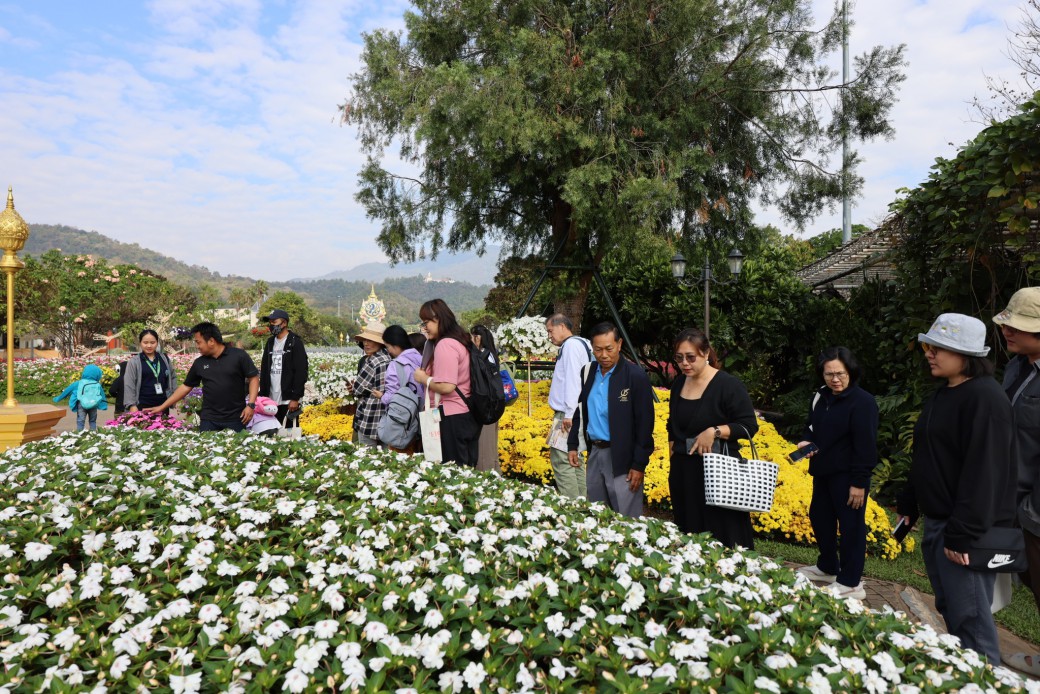 FILE-20260215-1508EV1RTV5L292V