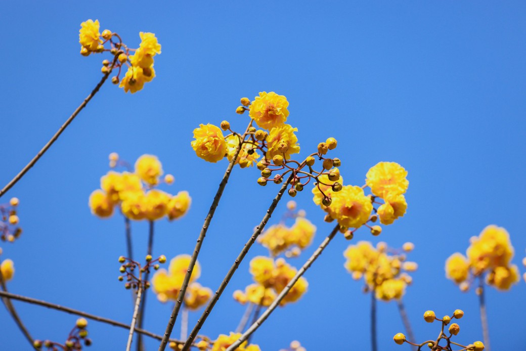 FILE-20260215-1509YR1N1WR57AN5