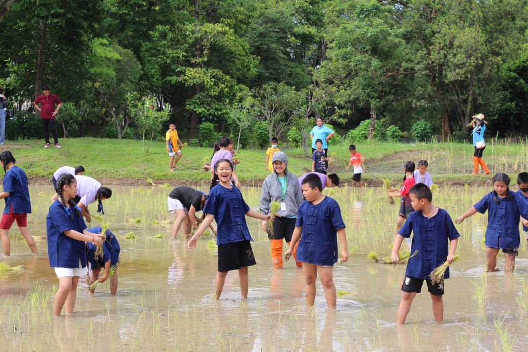 FILE-20260215-1521VW62FQ2TFCHT