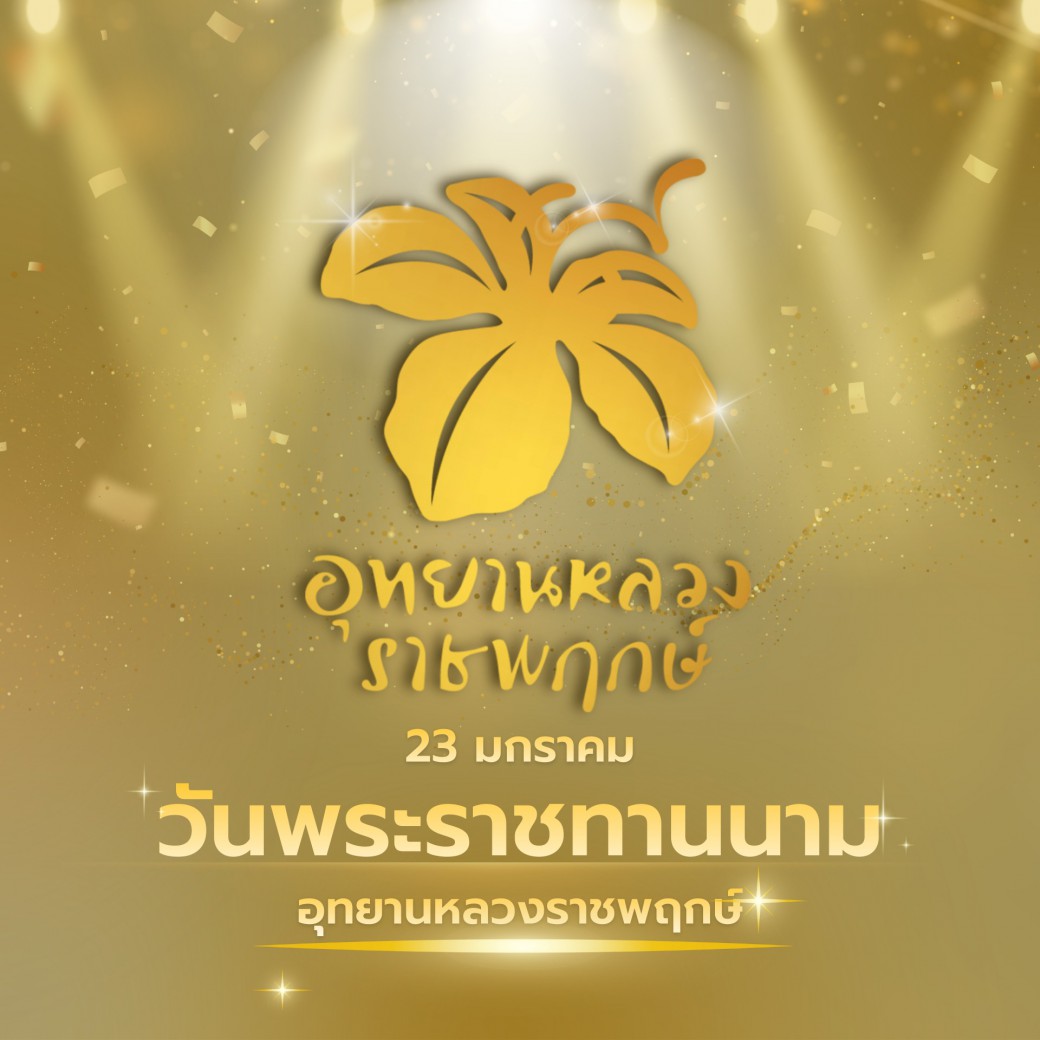 FILE-20260215-1522FRCBS34ZH1NW