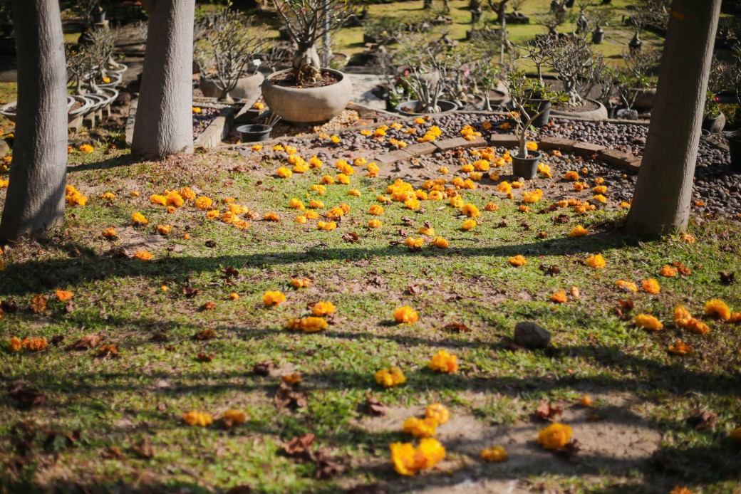 FILE-20260215-15233QKGVMSX8G9T