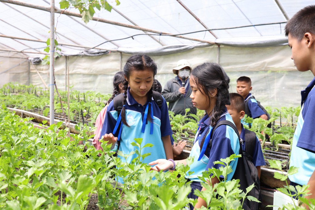 FILE-20260215-1530325K6ZCDBSF3