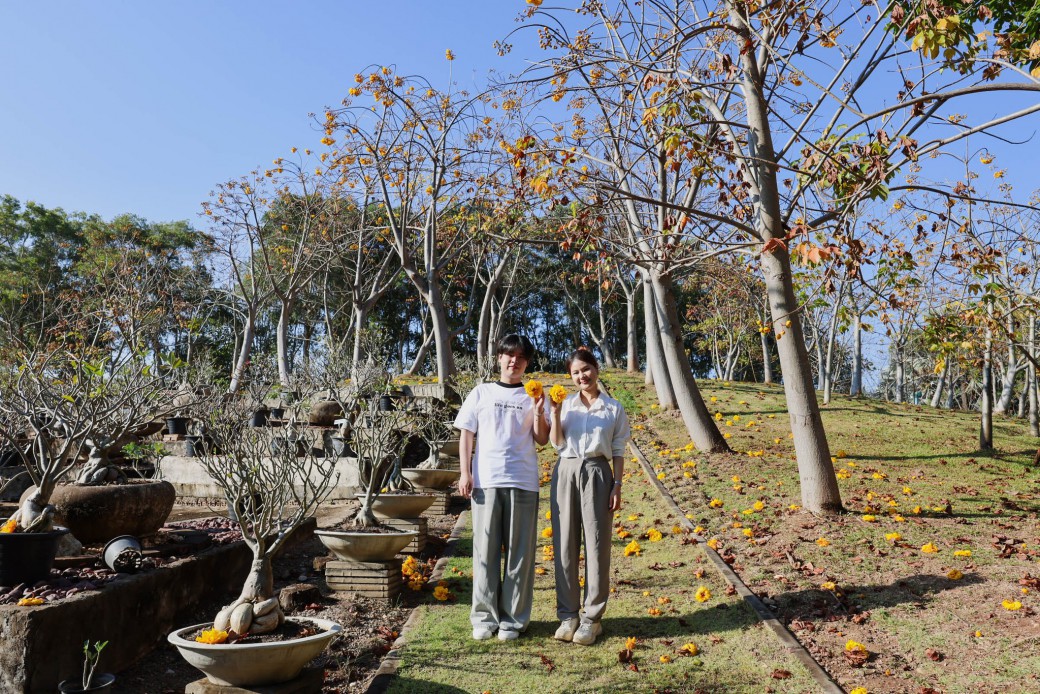 FILE-20260215-1534ZGVSKW12JEPV