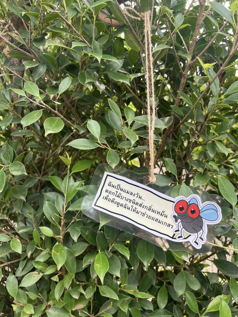 FILE-20260215-1537KA52URBH6HL9