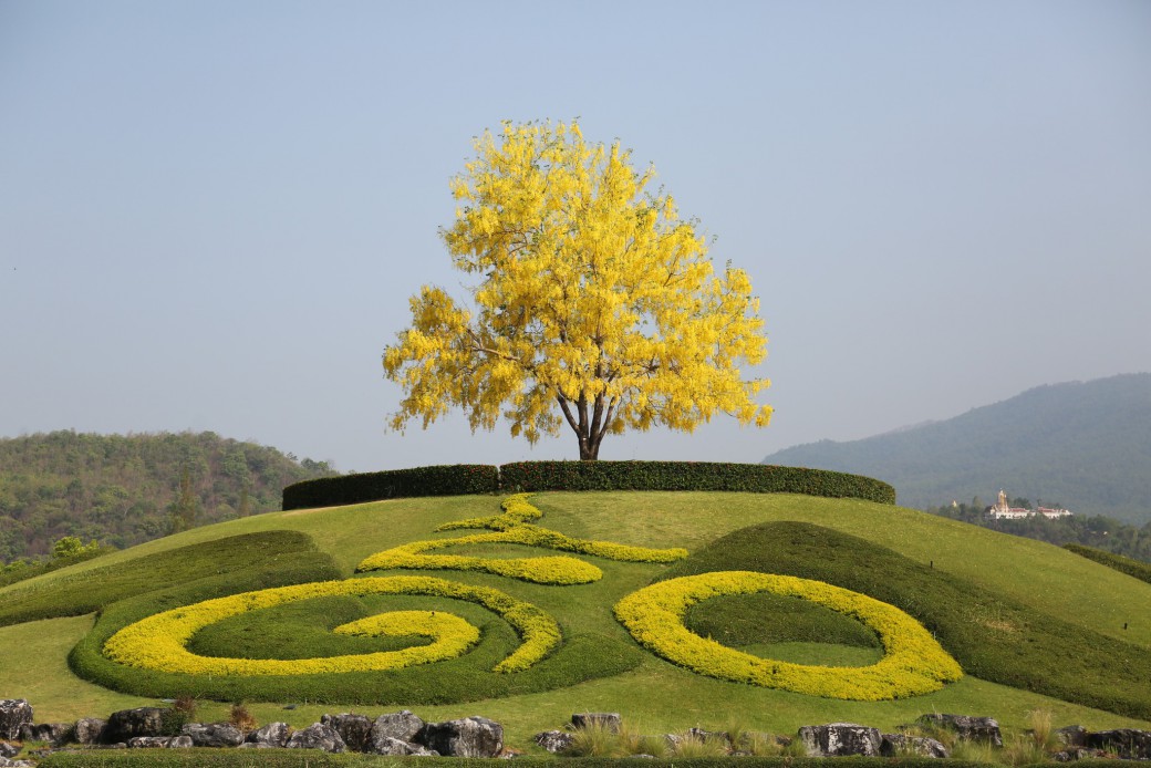 FILE-20260215-1540KC89925HLY9G