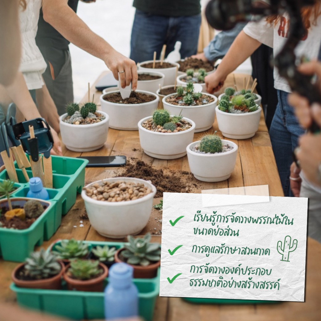 FILE-20260215-154632DK3SRBRK1V