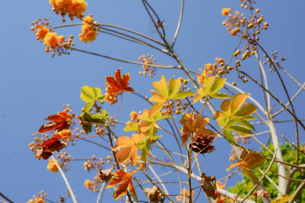 FILE-20260215-1547B2AE9464XFUB