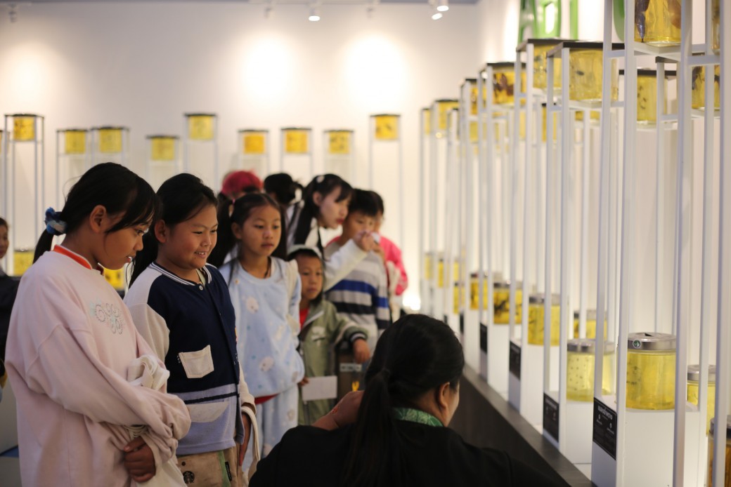 FILE-20260215-1549AV5EJ5U53R5H