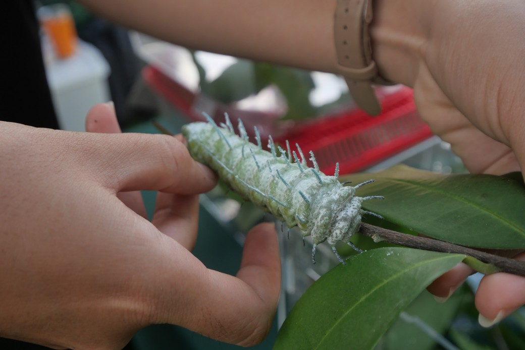 FILE-20260215-1555P63XFBGMN8FL