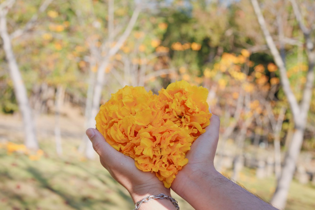 FILE-20260215-155625UURUYY53P4