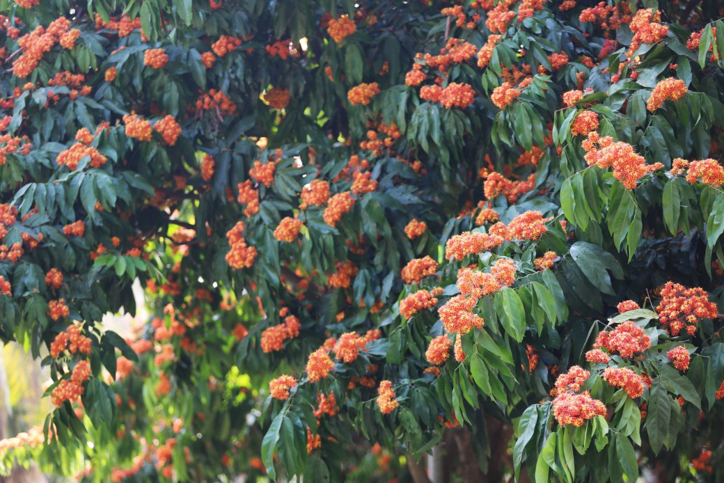 FILE-20260215-16081UDND5L7EZMN