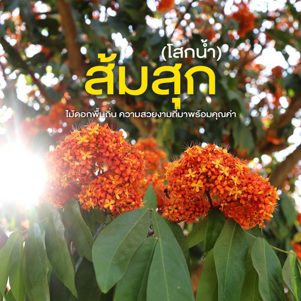 FILE-20260215-1608GCTSBVG3VDP1