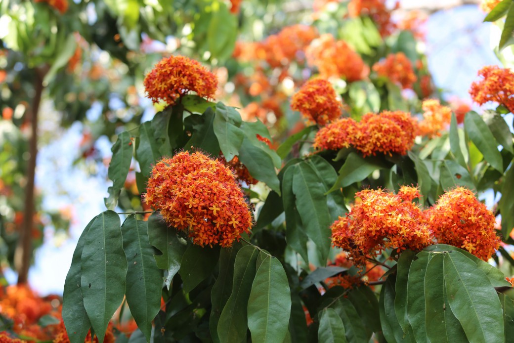 FILE-20260215-1637LD7TWHE89RX6