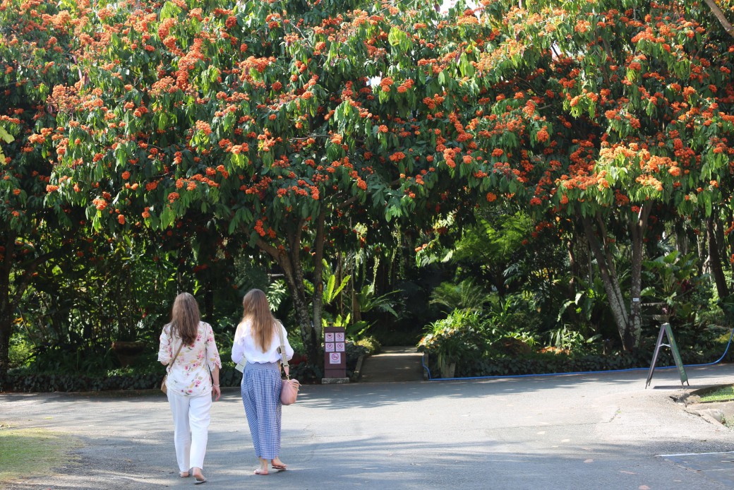 FILE-20260215-1648L162R91CHHQC