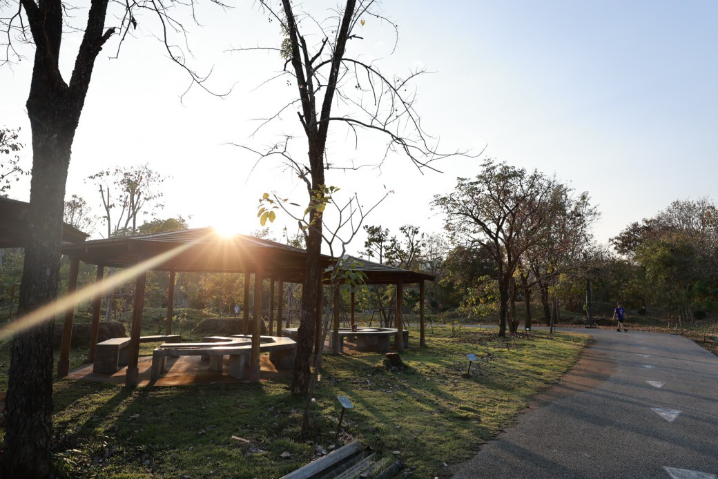 FILE-20260215-1650YNU1JK7XSTBA