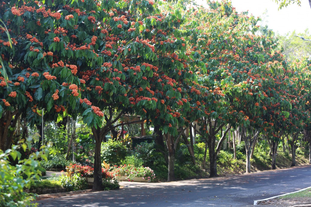 FILE-20260215-1659SYZCY1B4XQYB