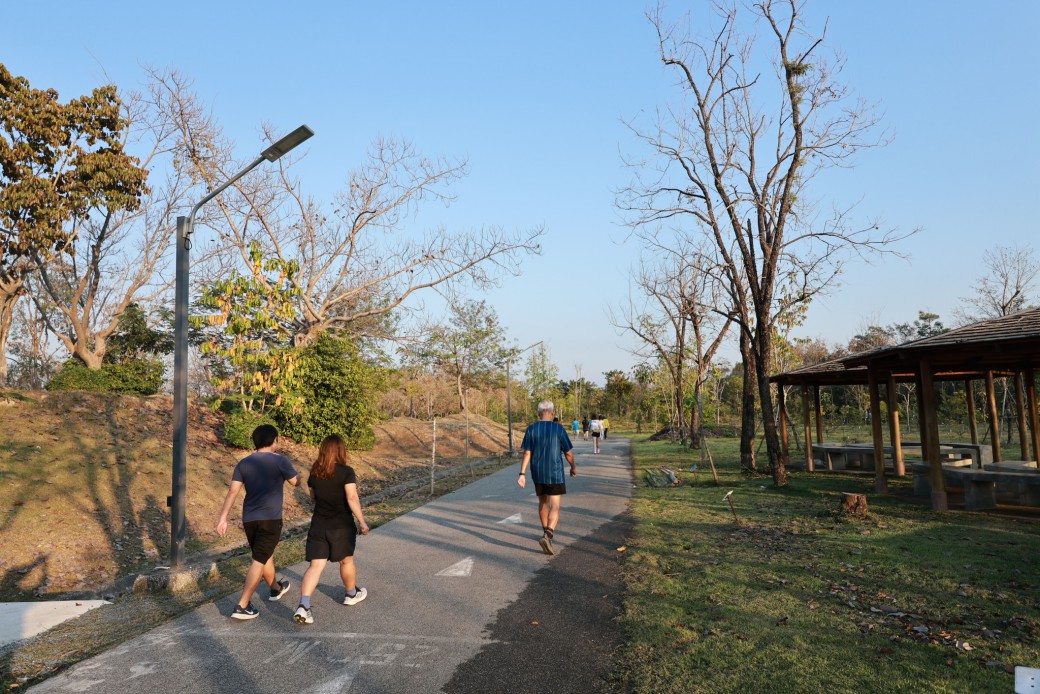 FILE-20260215-1659T2M65SNLKR4P