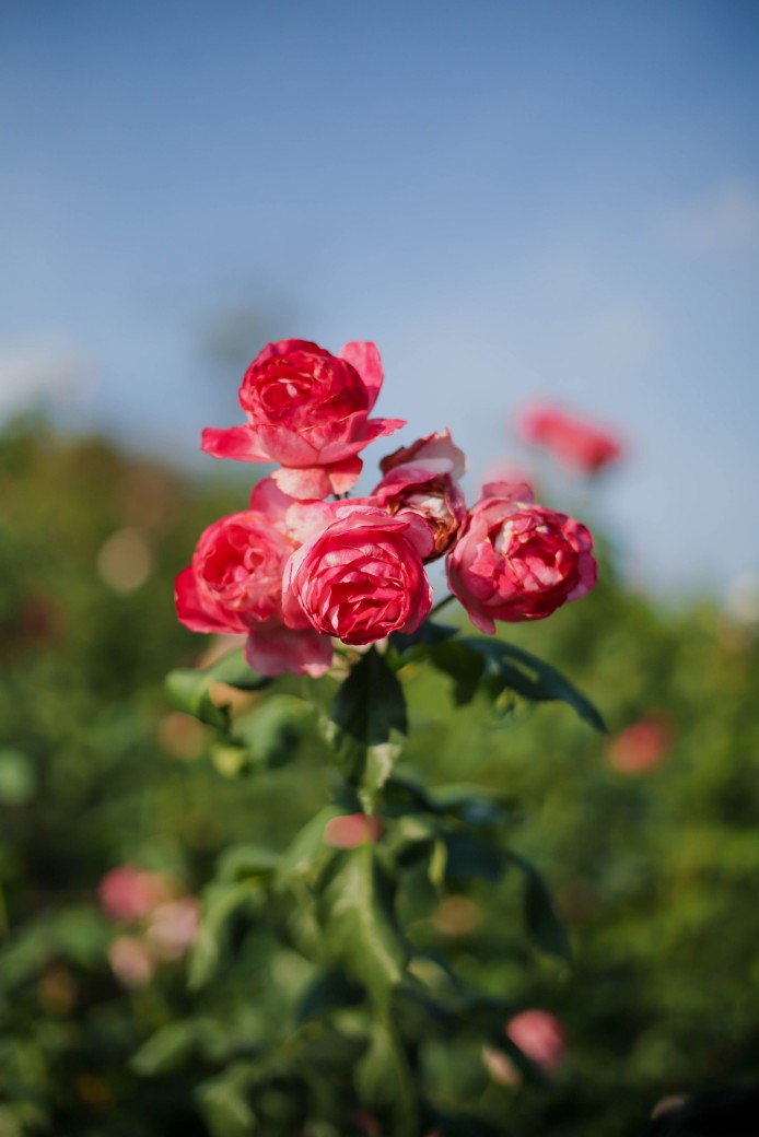 FILE-20260220-1400YX76157DT6EY